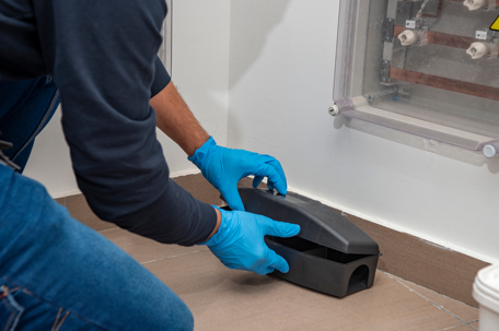 person preparing rat trap