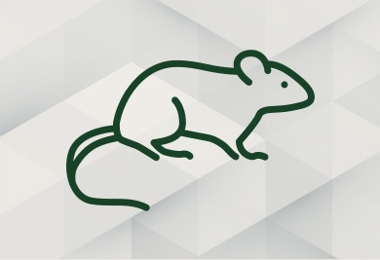 Rodent Control