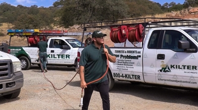 Pest & Termite Treatment Photo