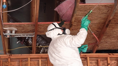 Kilter's Drywood Termite Prevention Treatment Photo