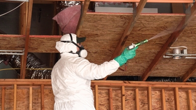 Kilter's Drywood Termite Prevention Treatment Photo