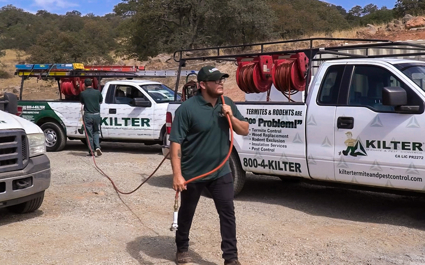 Pest & Termite Treatment Photo