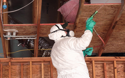 Kilter's Drywood Termite Prevention Treatment Photo