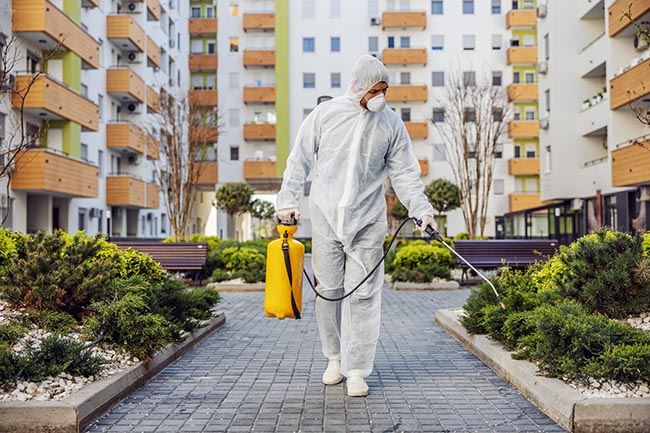 Pest control technician spraying garden