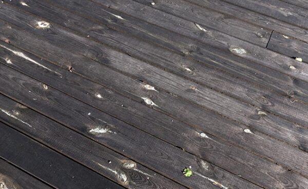 Blisters in wood flooring