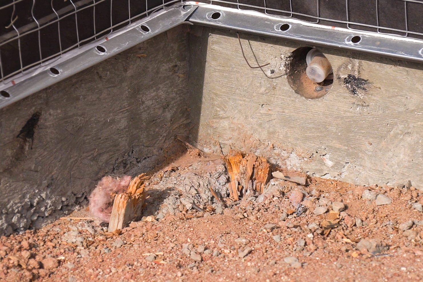 Subterranean Termite Access Point